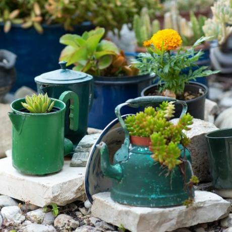 Ideen für wiederverwendete Pflanzgefäße Gebrauchte Wasserkocher, Kochtöpfe, alte Teekannen verwandeln sich in Gartenblumentöpfe Recycelte Gartengestaltung und abfallarmer Lebensstil Selektiver Fokus