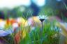 Gartenfotografie-Tipps für Herbst und Winter