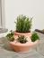 Der Terrakotta-Kräuterpflanzer von Marks & Spencer ist ein Muss für den Garten
