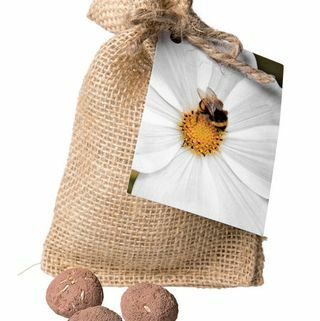 Снабдени топки за пчели и опрашители на фирмата за доставка на градинари