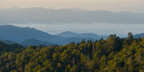 อุทยานแห่งชาติ Great Smoky Mountains