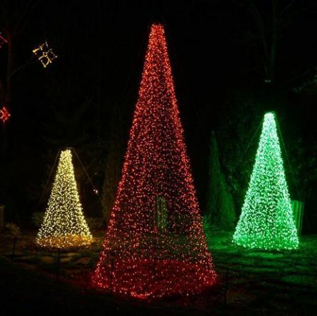 Дрво, Божић, Божићна декорација, Божићна светла, Светло, Божићно дрвце, Расвета, Дрвенаста биљка, Дизајн ентеријера, Догађаји, 