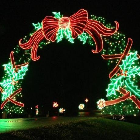 أخضر ، زينة عيد الميلاد ، ضوء ، أضواء عيد الميلاد ، الإضاءة ، القوس ، الشجرة ، عيد الميلاد ، الهندسة المعمارية ، التصميم الداخلي ،