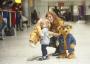 Os ursinhos de Natal do aeroporto de Heathrow, Doris e Edward Bair, ganharam vida