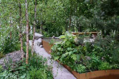 Family Monsters Garden, designet av Alistair Bayford - Chelsea Flower Show 2019
