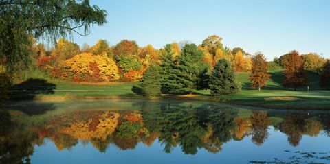 Reflexion von Bäumen im Wasser, Turf Valley, Ellicott City, Maryland, USA