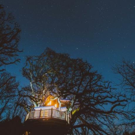 Treetops Treehouse - Devon - gece - Canopy & Stars