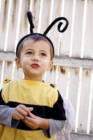 otrok v čebeljem kostumu