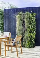 Dobbies Hagesentre lanserer Living Wall Planters