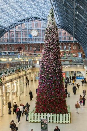 كشف النقاب عن شجرة عيد الميلاد المزهرة بطول 47 قدمًا في محطة سانت بانكراس الدولية بلندن.