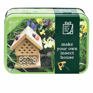 Cadeau de pommes à poires dans une boîte de conserve Faites votre propre kit d'artisanat de maison d'insectes
