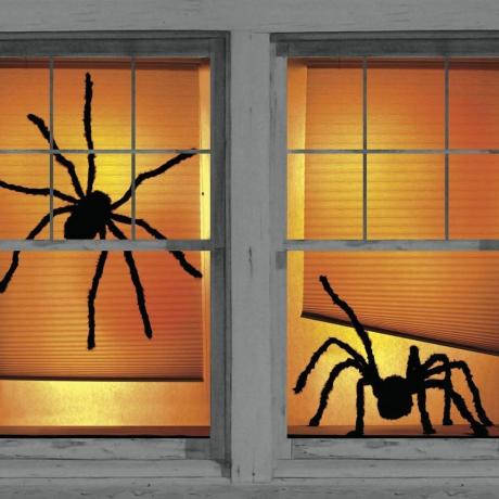 Fensterplakate mit schattigen Spinnen