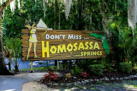 Baner reklamowy Homosassa Springs na Florydzie
