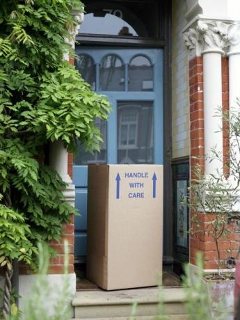 Kartonska kutija (paket, dostava) na kućnom pragu