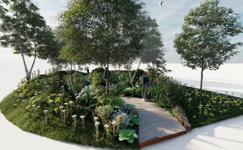 rhs лісовий сад для купання, rhs Feature garden, розроблений Дейвом Гріном, Rhs Hampton Court Palace Garden Festival 2022