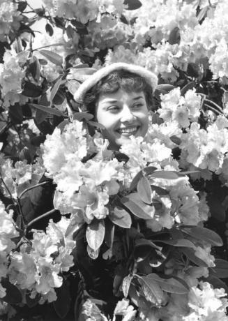 1er mai 1950: l'actrice américaine Audrey Hepburn (1929 - 1993) au milieu des fleurs de printemps. Publication originale: Picture Post - 5035 - We Take A Girl To Look For Spring - pub. 1950 (Photo de Bert Hardy/Picture Post/Getty Images)