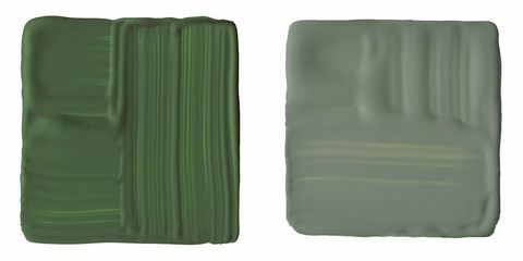Шавлія зелений - Колір і фарба / Маленький зелений
