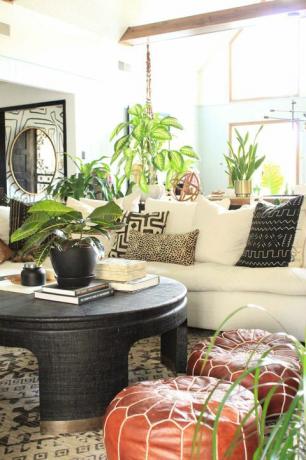 Dzīvojamā istaba, istaba, interjera dizains, mēbeles, telpaugi, mājas, galds, kafijas galdiņš, māja, nekustamais īpašums, 