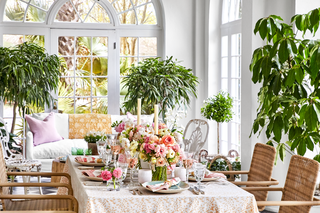 Hvid, grøn, værelse, Indretning, møbler, lyserød, bord, botanik, hjem, blomst, 