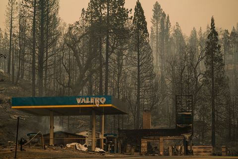 incendio del torrente nella foresta nazionale della Sierra