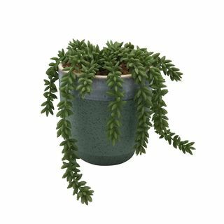 Faux Trailing i Speckled Pot