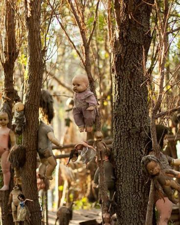пустите кукли изолираният остров е превзет от обитаващи кукли