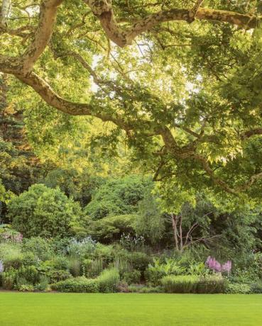 버킹엄 궁전 정원이 새 책에서 공개되었습니다.