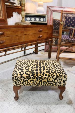 leopard stolček