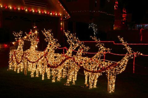 Luces de renos en el jardín delantero - luces de Navidad