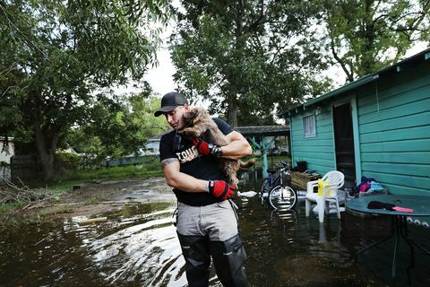 Az árvizek helyreállító erőfeszítései Délkelet -Texasban