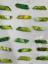 Lūk, kā Džidži Hadida ieguva varavīksnes makaronu kabineta fasādi
