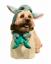 PetSmart säljer en baby Yoda hund Halloween -kostym