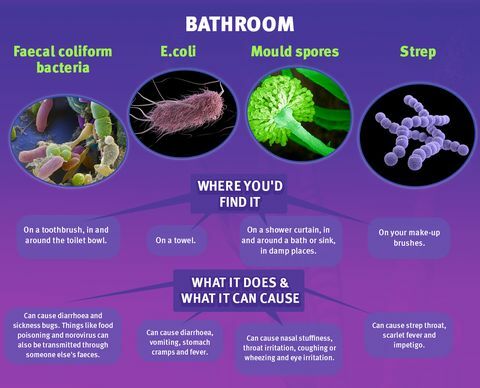 Vannas istabas mikrobi - matracis tiešsaistē