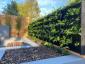 Chelsea Flower Show: Βραβείο Sustainable Garden Product of the Year