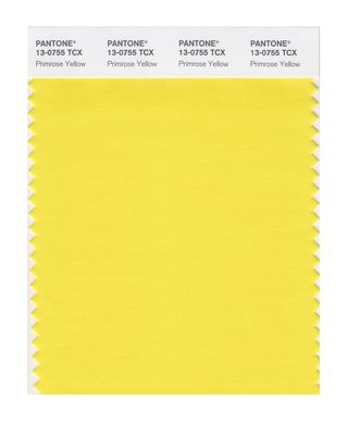 Έκθεση χρώματος μόδας Pantone - Άνοιξη 2017 - Primose Yellow