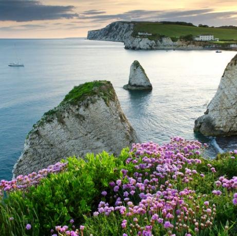 Vue panoramique sur la côte au coucher du soleil, île de Wight, sud-est de l'Angleterre, Angleterre, Royaume-Uni