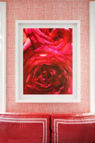 Rose, Rouge, Rose, Roses de jardin, Famille des roses, Chambre, Pétale, Cadre photo, Textile, Ordre des roses, 