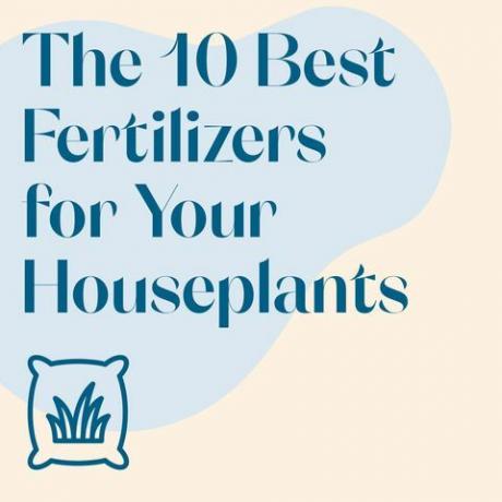 gødning til dine stueplanter