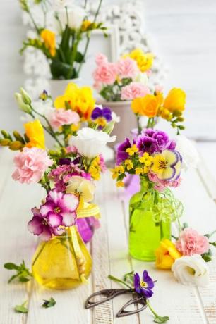 Skaisti svaigi ziedi stikla pudelēs uz koka galda