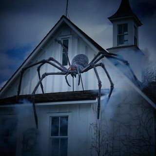9 футів Павук -гігант