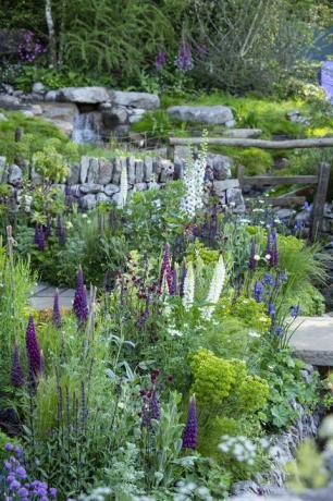 programy sadzenia ogrodów witamy w yorkshire garden