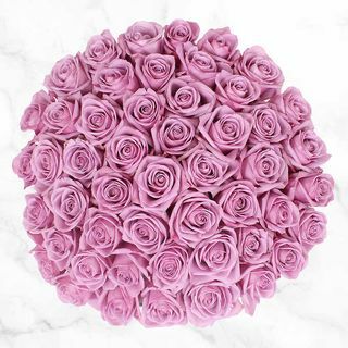 50茎の紫色のバラ