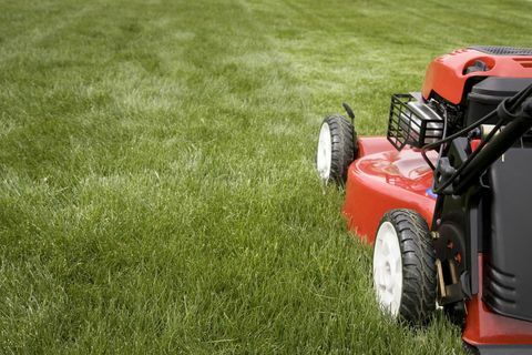 芝生の上で草を刈る芝刈り機
