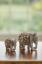 Diese wunderschönen Elefantenstatuetten sind handgeschnitzt aus einem Stück Speckstein