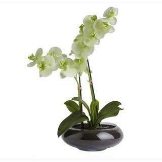 Stor faux orkidé i glasspotte
