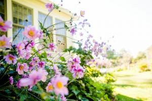 Ön bahçenizin yaz için şık görünmesini nasıl sağlarsınız?