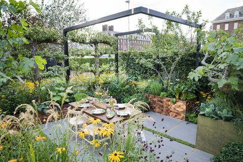 rhs chelsea kvetinová výstavná záhrada navrhnutá alanom williamsom pre petržlenovú vňať s konzultantmi landform ltd, chelsea 2021 uk