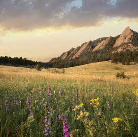 Ainavisks skats uz pļavu un kalniem, Boulder, Kolorādo, ASV