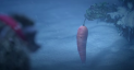 Коледна реклама на Aldi 2020: Морковът Кевин, спасен от Дядо Коледа