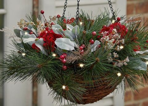 Kalėdų dekoravimas, sumedėjęs augalas, šakelė, Kalėdos, natūrali medžiaga, Kalėdų eglutė, pušų šeima, šventė, spygliuočiai, gėlių išdėstymas, 
